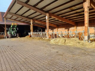 Ferienbauernhof Brandt-Stall