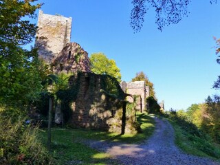 Blumenschein-Wildenburg