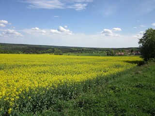 Blumenschein-Blick auf den Ort