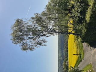 Blumenschein-Blick über den Odenwald