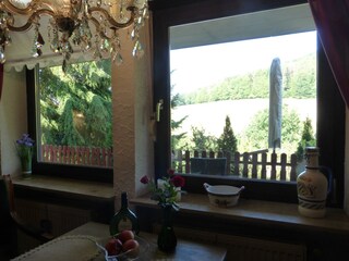 Tannenhof 2-Blick aus dem Fenster