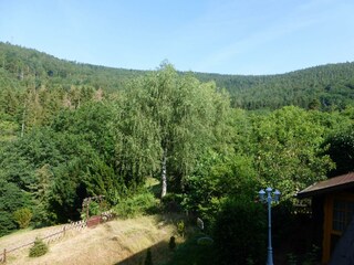 Tannenhof-Ausblick 1