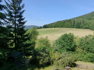 Tannenhof-Ausblick 2