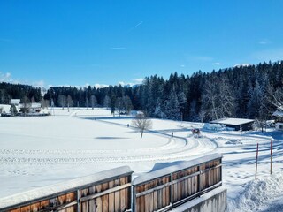 Waldrand-Apartments-Ramsau-(3)
