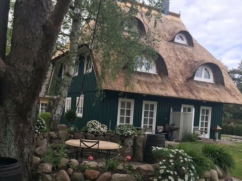 Ferienhaus Haus Wels in Born a. Darss