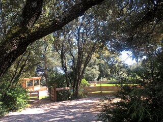 Casa per le vacanze Bagnols-sur-Cèze Registrazione all'aperto 13