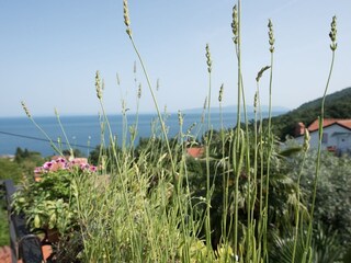Apartment Lovran Outdoor Recording 3