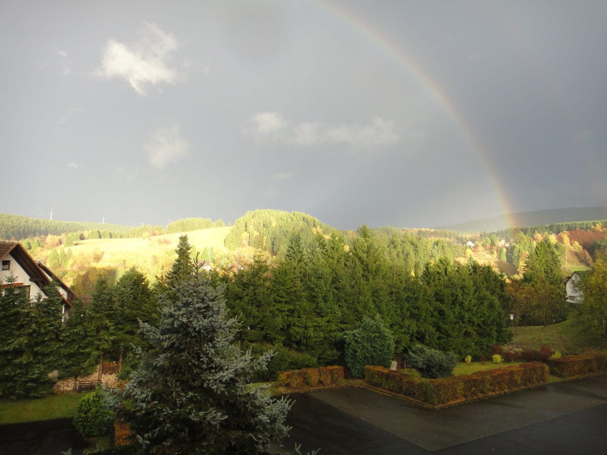 Natur pur vom Balkon