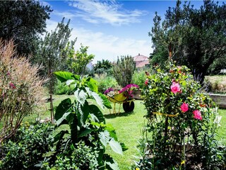 Apartamento Kastel Novi Grabación al aire libre 3
