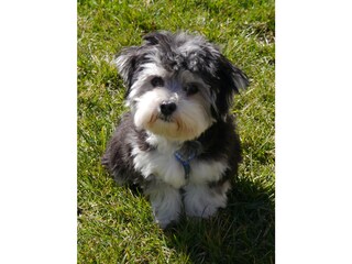 Appartamento per vacanze Tremosine sul Garda Registrazione all'aperto 9