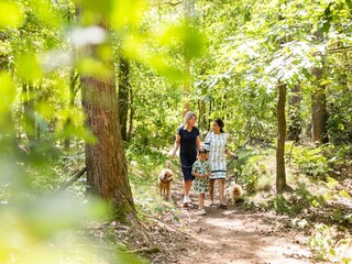 Vakantiepark Riethoven Omgeving 19
