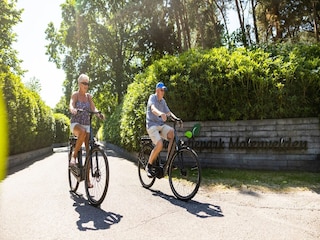 Vakantiepark Riethoven Omgeving 20