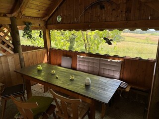 IMG_0410