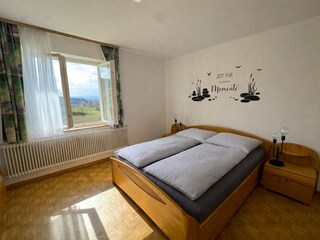 Zimmer Pfingstrose
