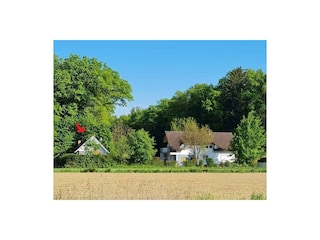 aussen  (5)