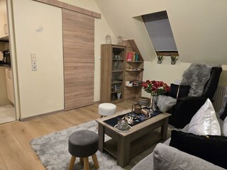 Wohnzimmer  (5)