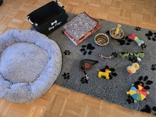 Hunde  (1)