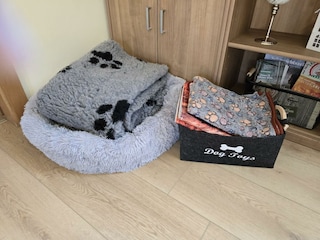Hunde  (2)