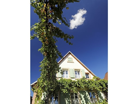 Apartment Gästehaus zum Weinbauer