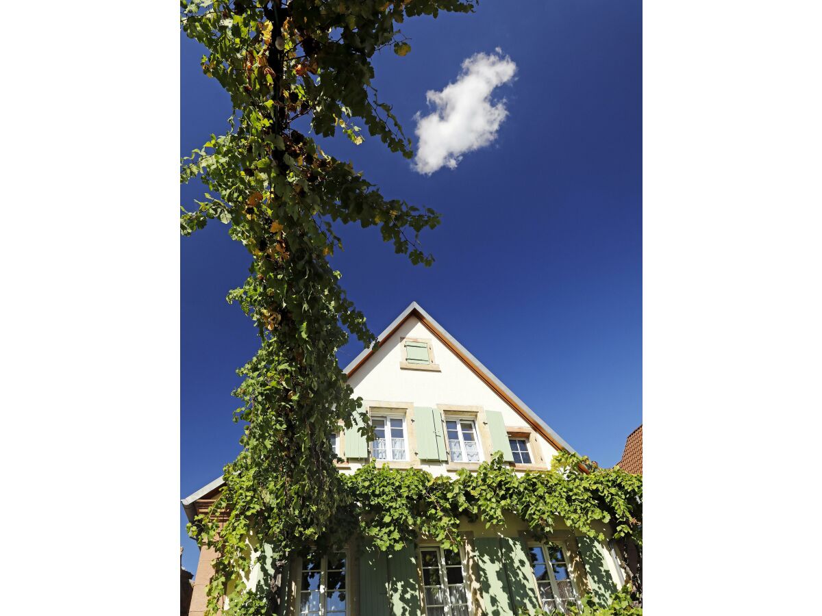 Apartment Gästehaus zum Weinbauer