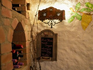 Haus-Hainschneider-Tauplitz-myNests-Bad-Mitterndor