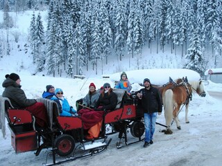 Märchenpferdekutschenfahrt