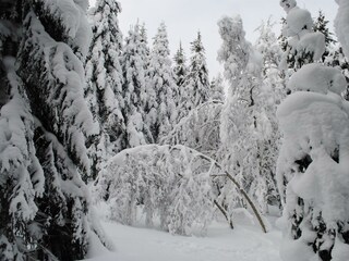 Naturhaus Andrea - den Zauber der Natur entdecken