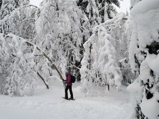 Geführte Schneeschuhwanderungen mit Andrea