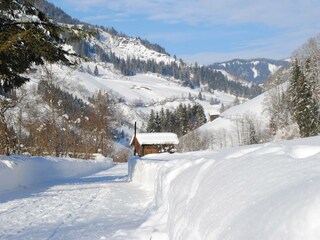 Winterspazierweg direkt vom Haus- entlang vom Bach