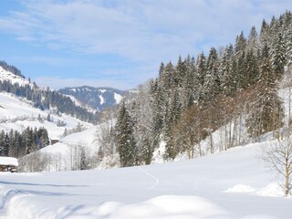 Naturhaus Andrea  - Spaziergweg am Bach entlang