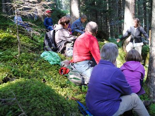 Märchenwanderung mit Andrea durch den Bergwald