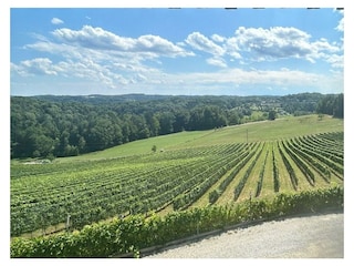 Aussicht