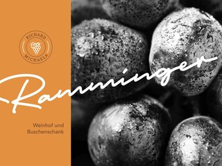 BS-Ramminger_Logo_Oststeiermark