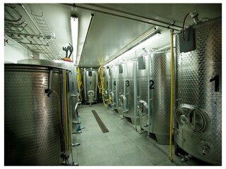 BS-Ramminger_Weindestillerie_Oststeiermark