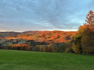 IMG_1422