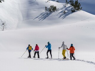 Schneeschuhwandern