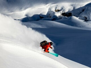FREERIDE