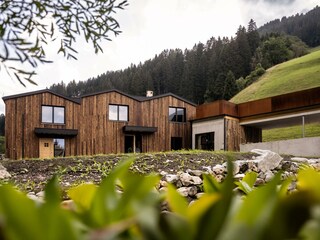 arminribis_20260720_33