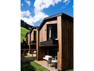 arminribis_20260819_017