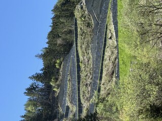 IMG_2362