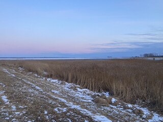 Winterliche Boddenlandschaft