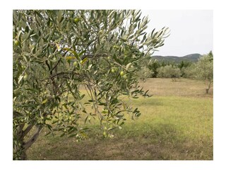 Cottage Vagnas Außenaufnahme 4