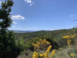 Holiday cottage Vagnas Environment 34