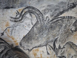 Holiday cottage Vagnas Environment 37