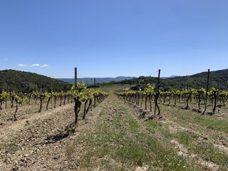 Cottage Vagnas Umgebung 38