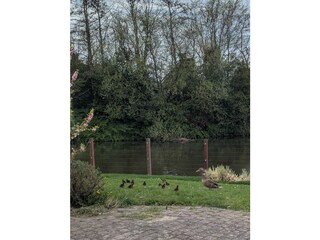 Vakantiehuis Medemblik Omgeving 25