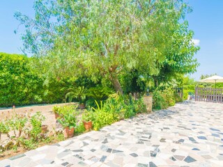 Villa Manacor Outdoor Recording 49