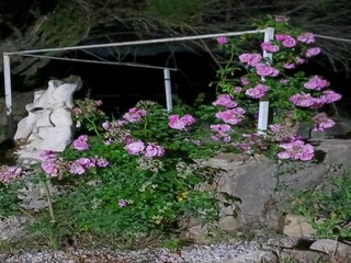 Holiday park Sant Salvador de Guardiola  38