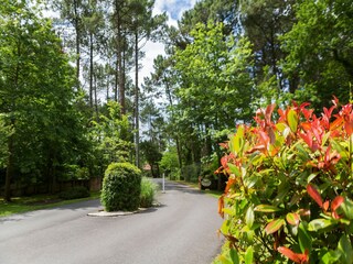 Vakantiepark Moliets-et-Maâ Omgeving 32