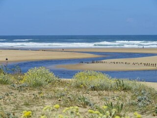 Parque de vacaciones Moliets-Plage Entorno 25